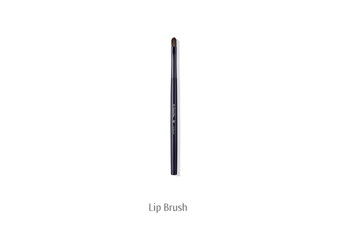 Dr Hauschka Lip Brush